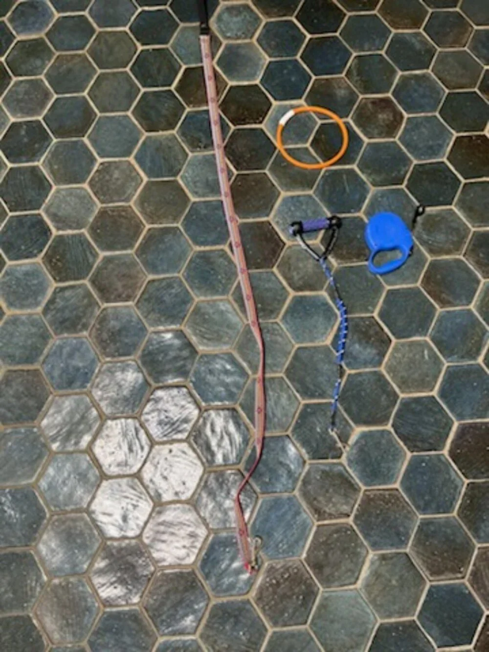 Dog Leashes plus light collar